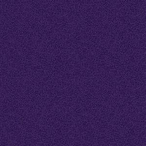 Brighton Dark Purple NEW!!!. Product thumbnail image