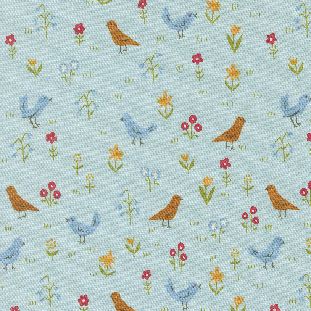 Animal Park Fun Birds