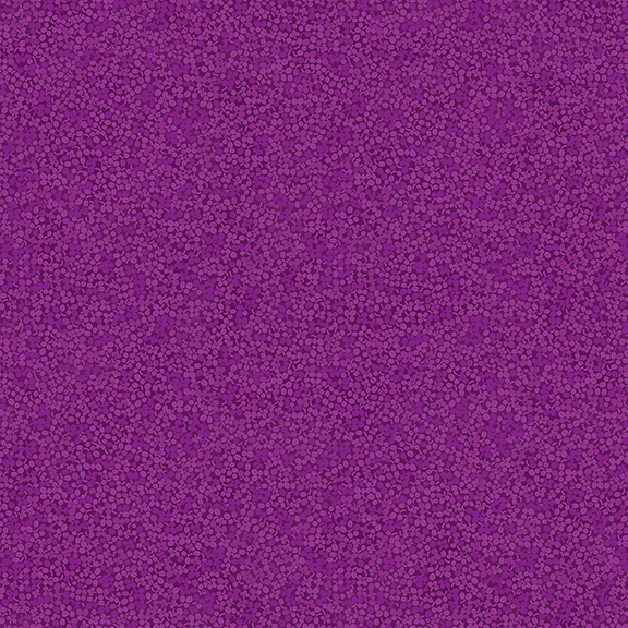 Brighton Purple