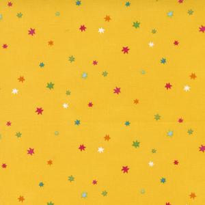 Rainbow Garden Yellow Stars. Product thumbnail image