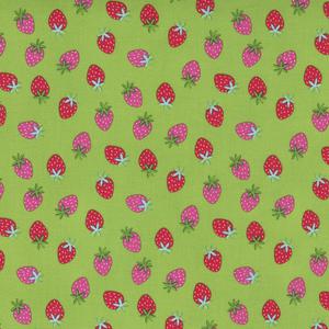 Rainbow Garden Sprout Strawberries. Product thumbnail image