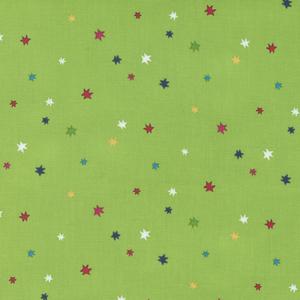 Rainbow Garden Sprout Stars. Product thumbnail image