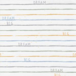 Dream 20 - White Stripes. Product thumbnail image