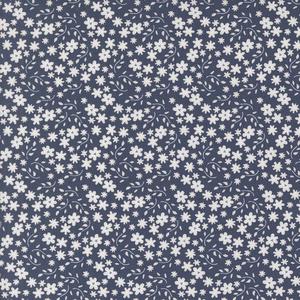 Raspberry Summer Ditzy Blueberry. Product thumbnail image