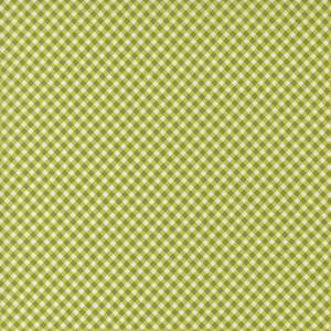 Raspberry Summer Lime Gingham. Product thumbnail image