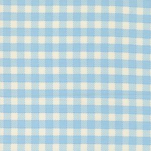 Animal Park Fun Sky Gingham. Product thumbnail image