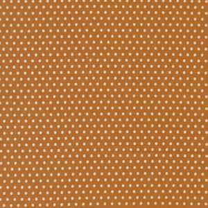 Animal Park Fun Tiger Dot. Product thumbnail image