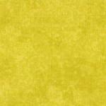 Spraytime Tarragon - Yellowy Green. Product thumbnail image